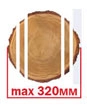 sx1.jpg