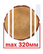 sx1.jpg